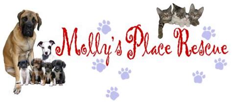 Mollys place pet rescue - Molly's Place Rescue & Sanctuary. View shelter info. See Available Pets. Adopted pets at this shelter. Pet Type Any. Age Any. Sex Any. Adopted. Bonded Pair. Max. German Shepherd …